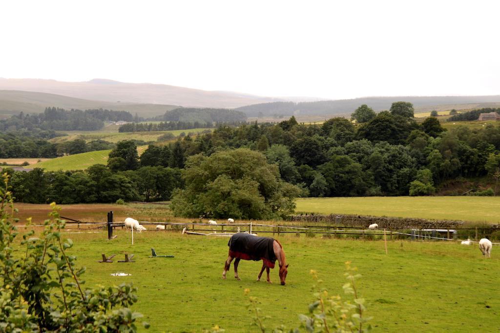 Hollybush Inn Greenhaugh エクステリア 写真